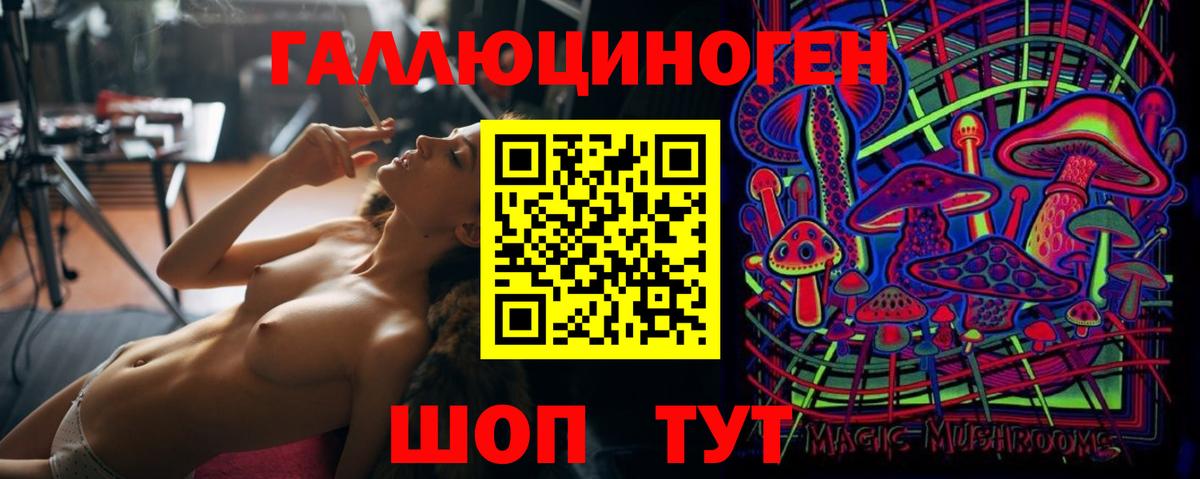 Галлюциногенные грибы GOLDEN TEACHER  Вход с VPN  Людиново 